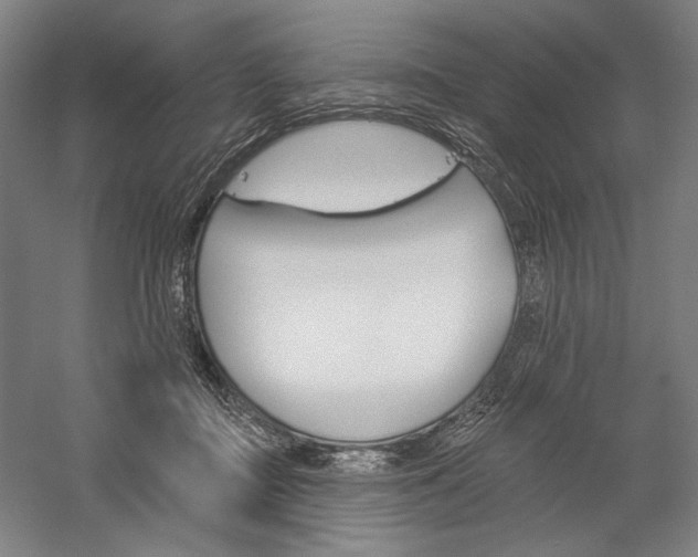 X0000060220363200510280917