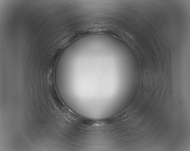 X0000060220364200510280917