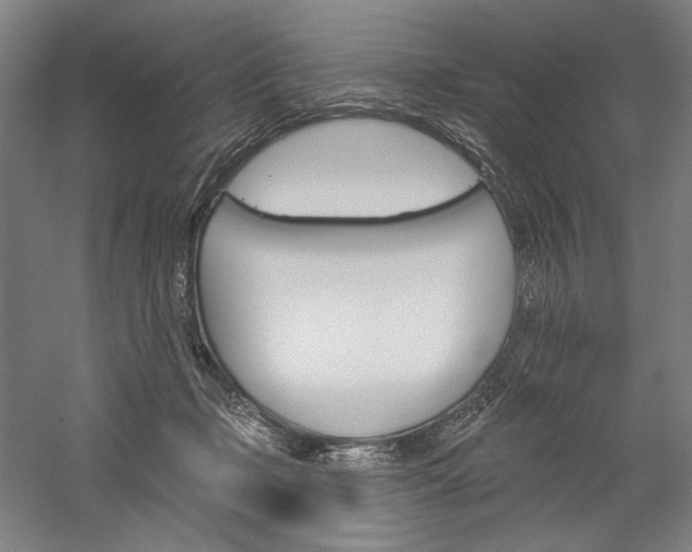 X0000060220365200510280917
