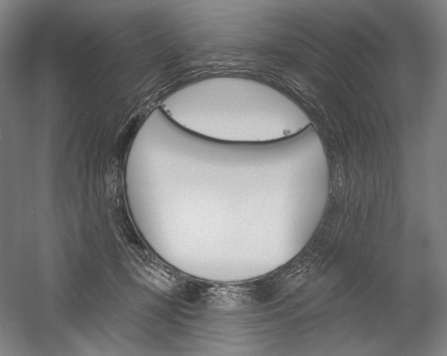 X0000060220367200510280917