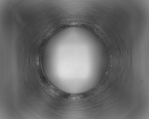 X0000060220368200510280918