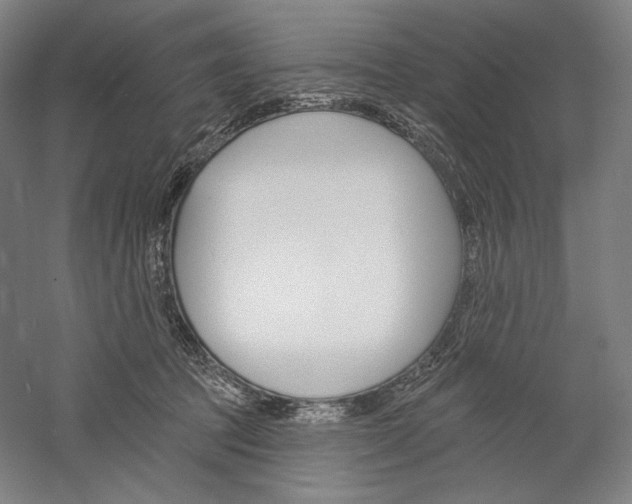 X0000060220369200510280918