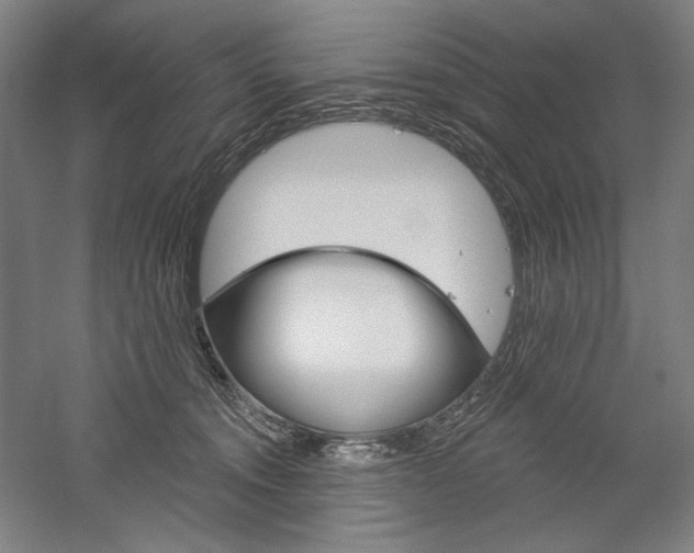 X0000060220372200510280918