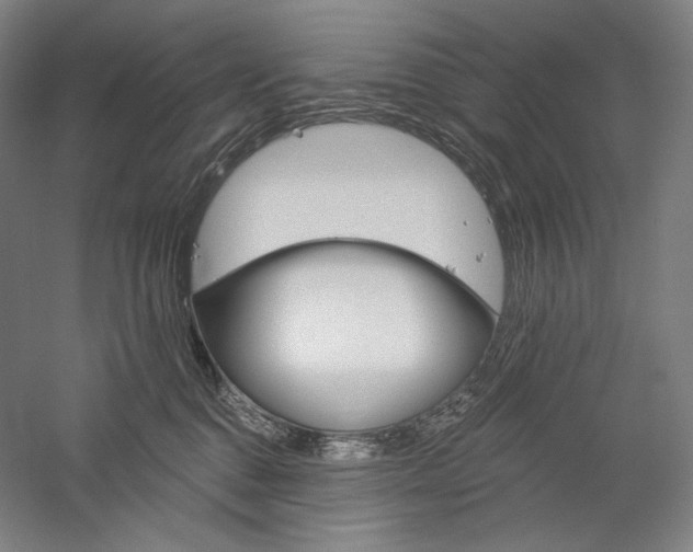 X0000060220376200510280918