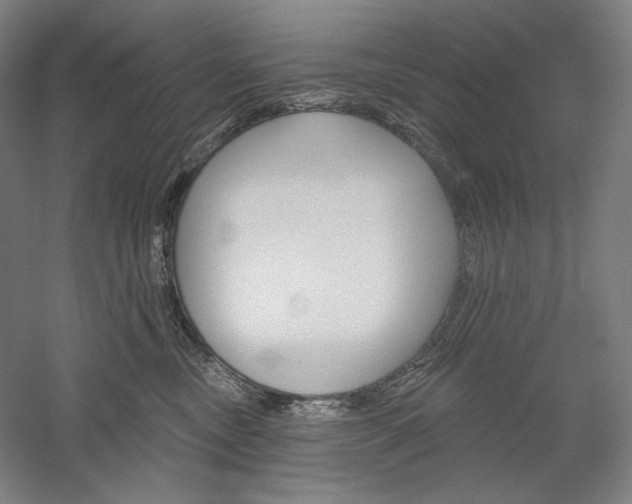 X0000060220378200510280918