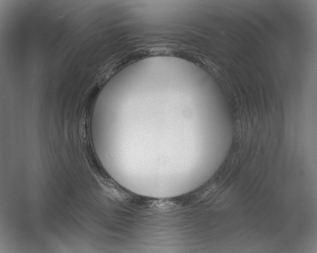 X0000060220379200510280918