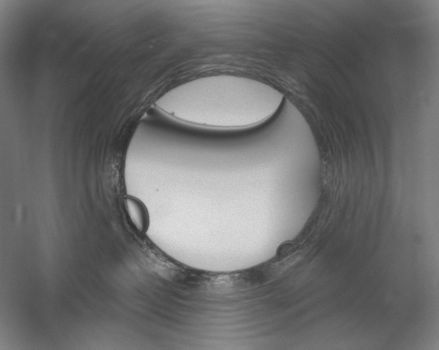 X0000060220382200510280918