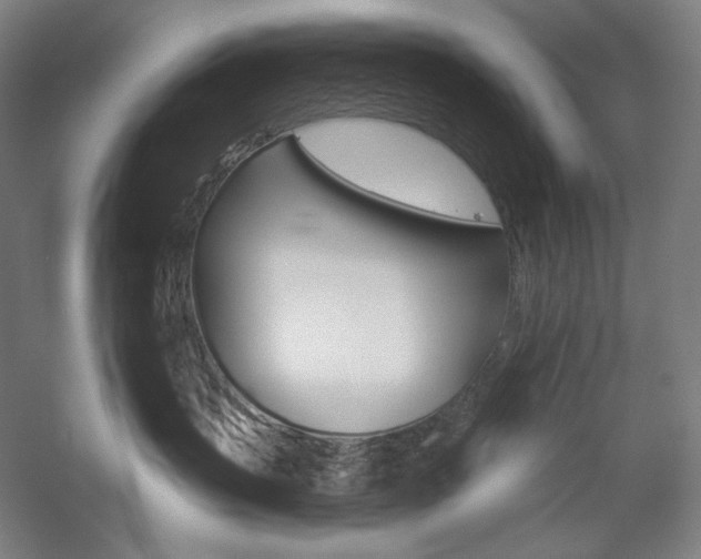 X0000060220383200510280918