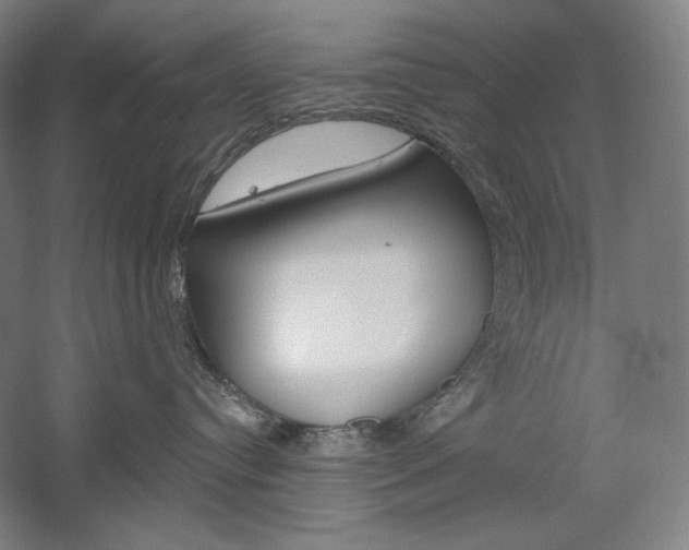 X0000060220384200510280918