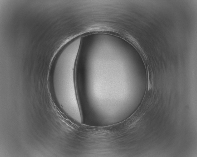 X0000060220387200510280917