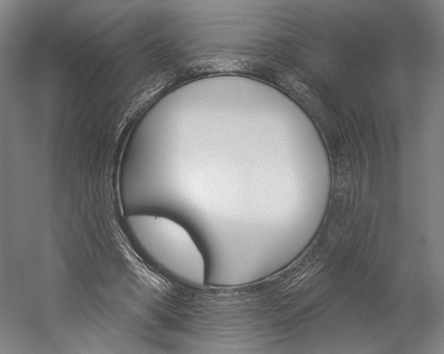 X0000060220394200510280917