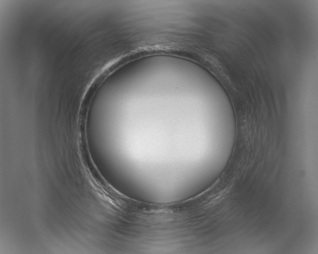 X0000060220395200510280917