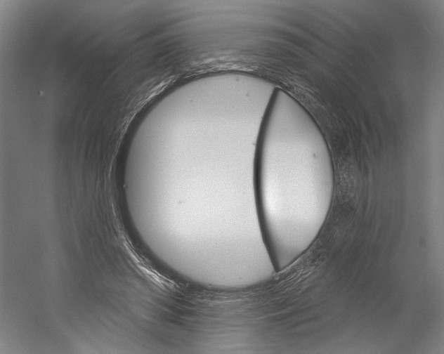 X0000060220398200510280917
