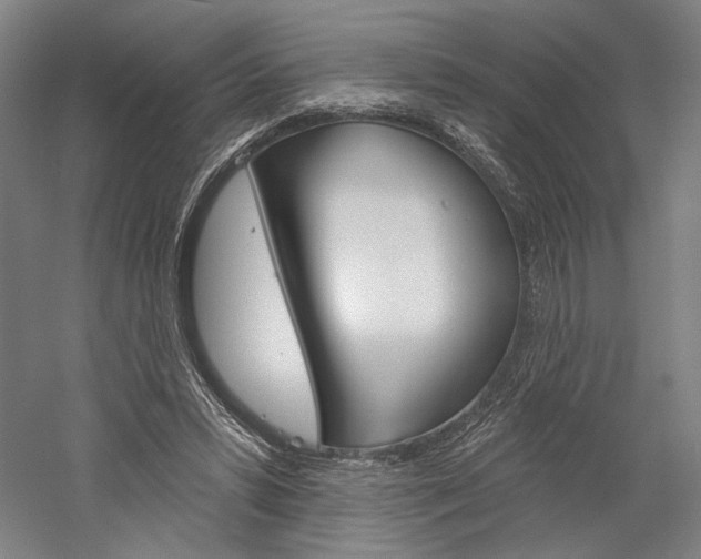 X0000060220399200510280917