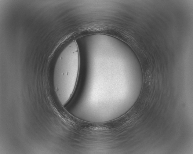 X0000060220400200510280917