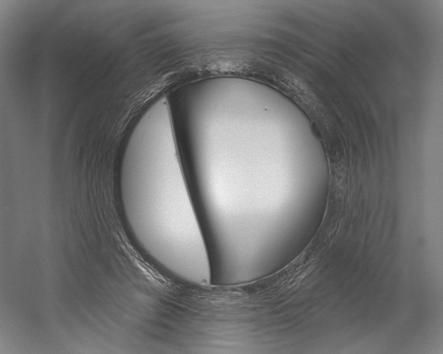 X0000060220401200510280917