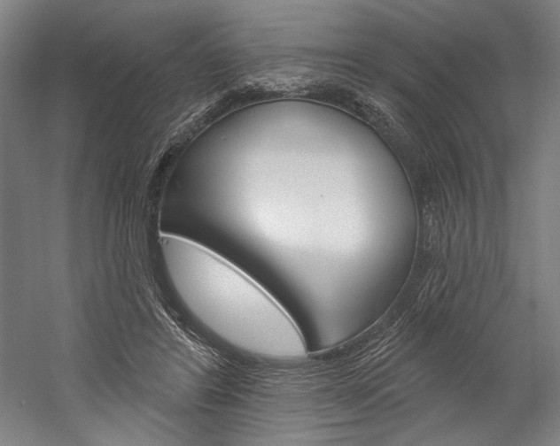 X0000060220404200510280917
