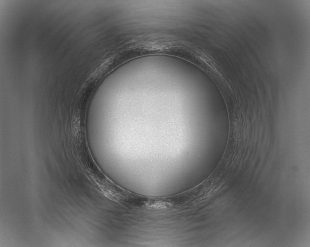 X0000060220407200510280917