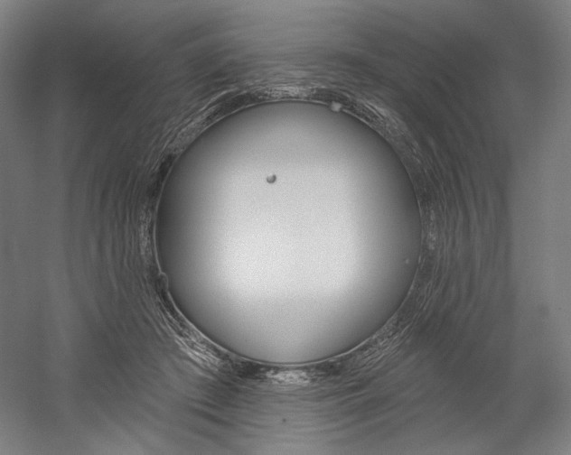 X0000060220409200510280917