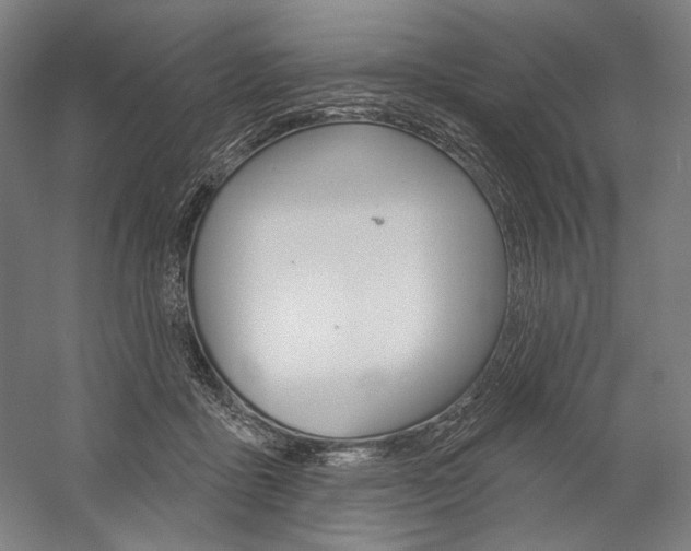 X0000060220411200510280917
