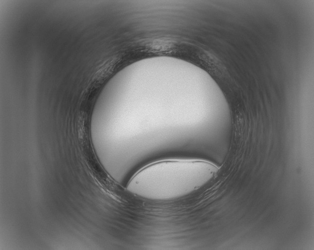 X0000060220412200510280917