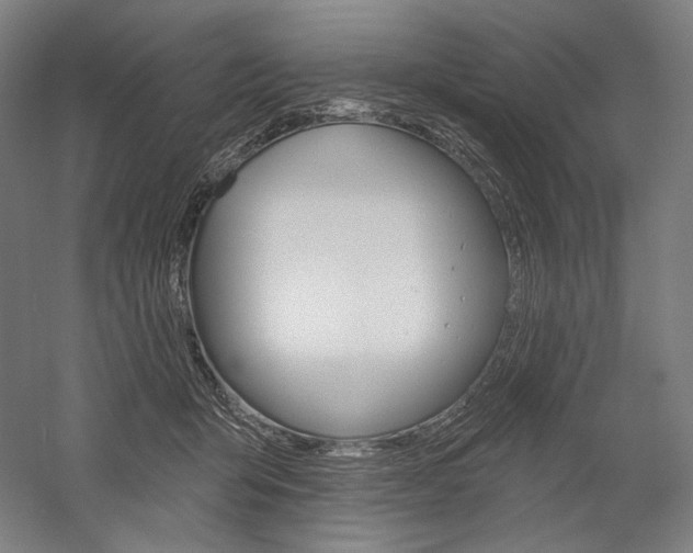 X0000060220415200510280916