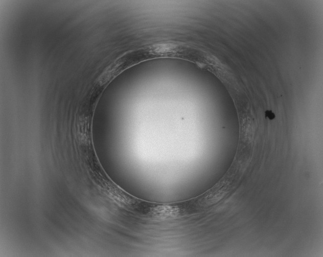 X0000060220421200510280916