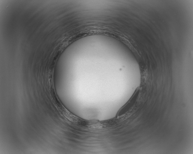X0000060220423200510280916