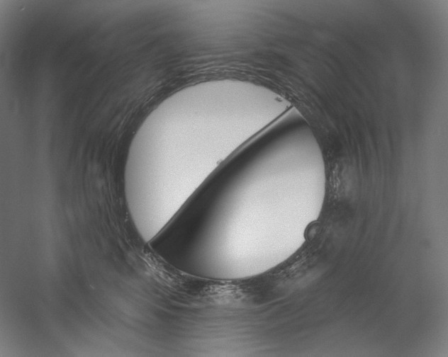 X0000060220424200510280916