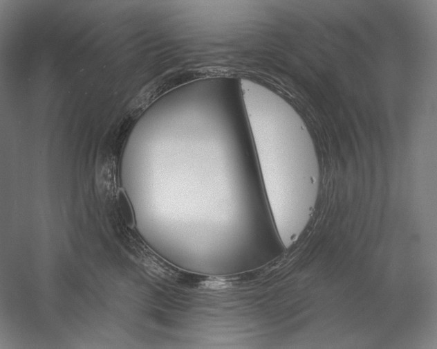 X0000060220425200510280916