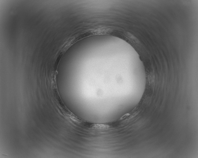 X0000060220429200510280916