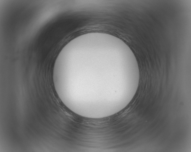 X0000060220431200510280916