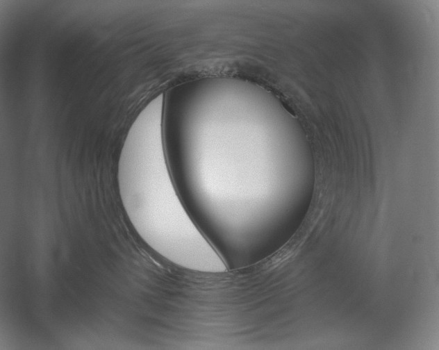 X0000060220432200510280916