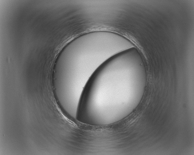 X0000060220433200510280915