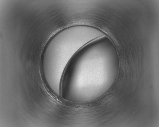 X0000060220434200510280915