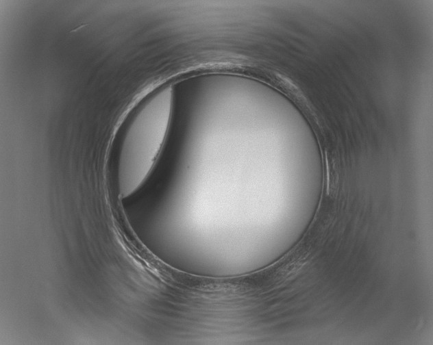 X0000060220435200510280915