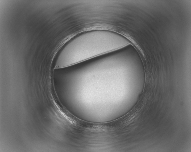 X0000060220437200510280915