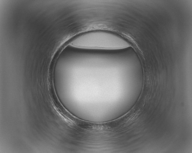 X0000060220439200510280915
