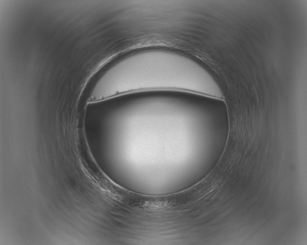 X0000060220440200510280915