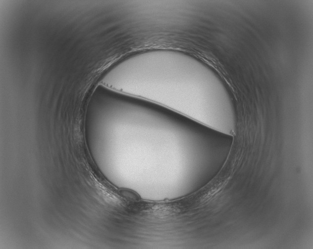 X0000060220441200510280915