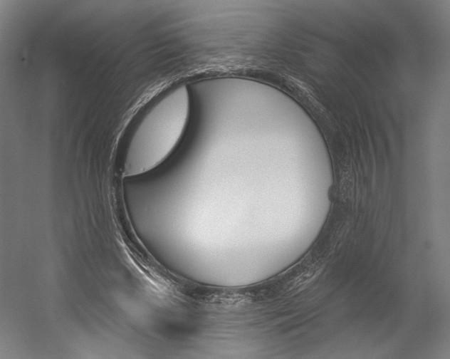 X0000060220443200510280916