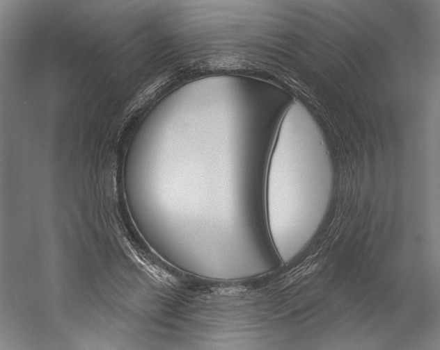 X0000060220446200510280916