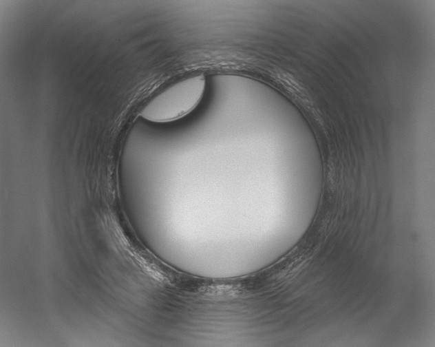 X0000060220449200510280916