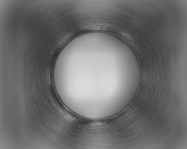 X0000060220453200510280916