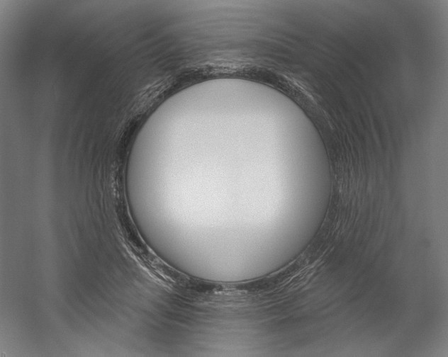 X0000060220455200510280916