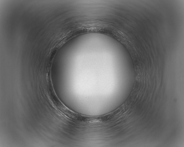 X0000060220456200510280916