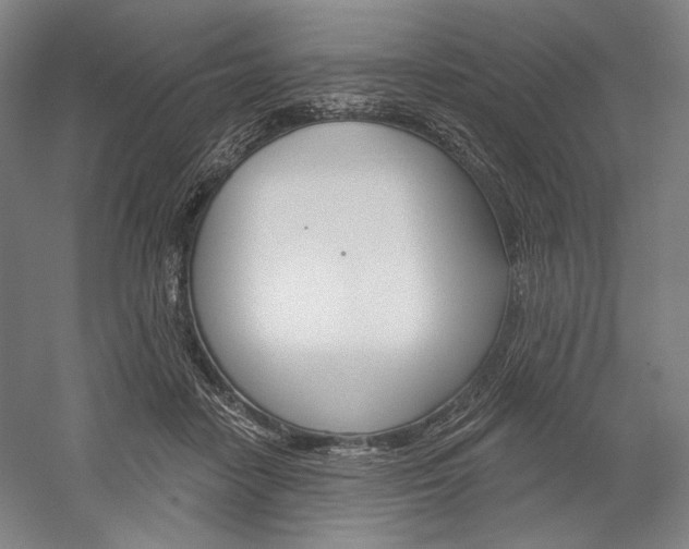 X0000060220458200510280916