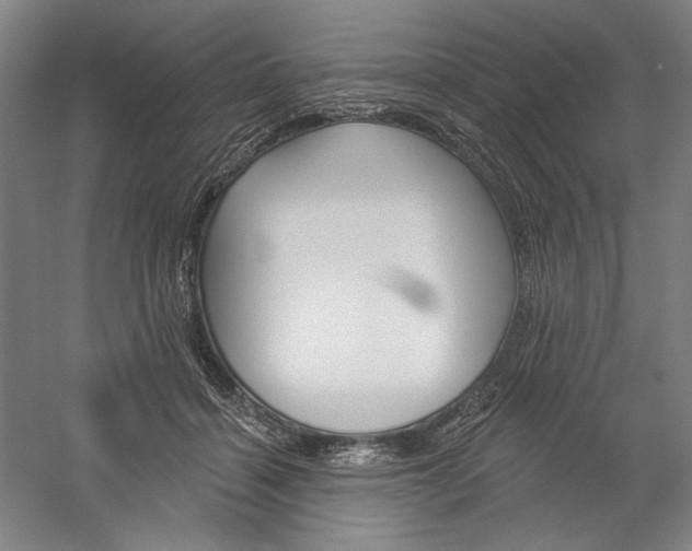 X0000060220460200510280916