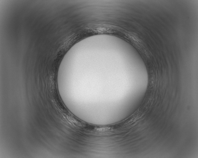X0000060220461200510280916