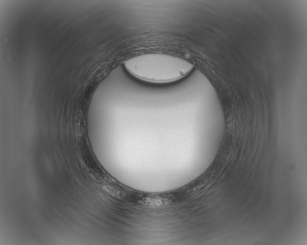 X0000060220464200510280916
